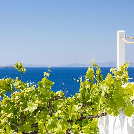Tagoo Black Mykonos